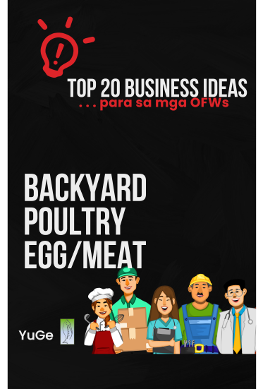 Backyard Poultry